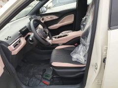BYD Seagull 2025 Smart Drive 305km Vitality Edition - ფოტო 15