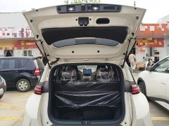 BYD Seagull 2025 Smart Drive 305km Vitality Edition - ფოტო 19