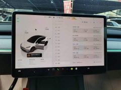 Tesla Model Y Rear-Wheel Drive - ფოტო 12