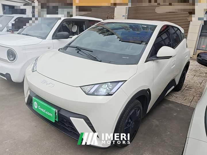 BYD Seagull 2025 305km Vitality Edition - ავტომობილი ჩინეთიდან