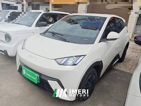 2024 BYD Seagull 2025 305km Vitality Edition - ავტომობილი ჩინეთიდან