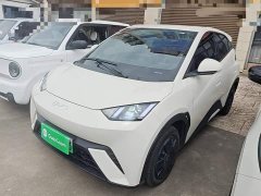 BYD Seagull 2025 305km Vitality Edition - ფოტო 2