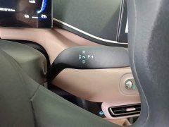 BYD Seagull 305km Vitality Edition - ფოტო 14