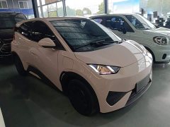 BYD Seagull 305km Vitality Edition - ფოტო 4