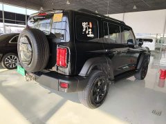 Tank 300 Off-Road Edition 2.0T Conqueror - ფოტო 7