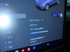 Tesla Model Y 2022 Facelift Rear-Wheel Drive - ფოტო 12