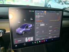 Tesla Model Y 2022 Facelift Rear-Wheel Drive - ფოტო 13