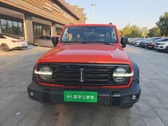 Tank 300 Off-Road Edition 2.0T Conqueror - ფოტო 3
