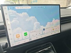 Wuling Xingguang Co-creation Edition 150 Navigator - ფოტო 13
