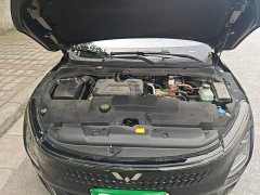 Wuling Xingguang Co-creation Edition 150 Navigator - ფოტო 20