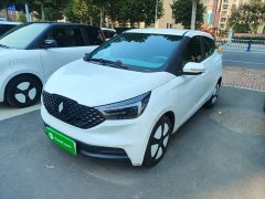 Yizhi Yiz EV3 Youth Edition 330KM Comfort - ფოტო 2