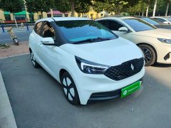 Yizhi Yiz EV3 Youth Edition 330KM Comfort - ფოტო 4