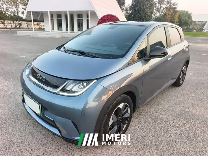 BYD Dolphin Glory Edition 420km Fashion Version - ავტომობილი ჩინეთიდან