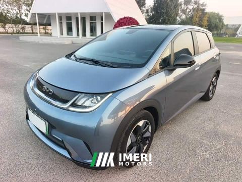 2024 BYD Dolphin Glory Edition 420km Fashion Version - ავტომობილი ჩინეთიდან