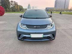 BYD Dolphin Glory Edition 420km Fashion Version - ფოტო 12