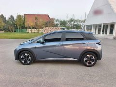 BYD Dolphin Glory Edition 420km Fashion Version - ფოტო 5