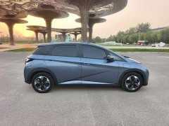 BYD Dolphin Glory Edition 420km Fashion Version - ფოტო 9