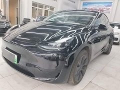 Tesla Model Y Rear-Wheel Drive - ფოტო 1