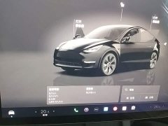 Tesla Model Y Rear-Wheel Drive - ფოტო 12