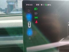 Tesla Model Y Rear-Wheel Drive - ფოტო 10