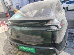 Tesla Model Y Rear-Wheel Drive - ფოტო 3