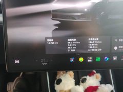 Tesla Model Y Rear-Wheel Drive - ფოტო 8