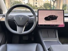Tesla Model 3 2022 Rear-Wheel Drive - ფოტო 14