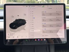 Tesla Model 3 2022 Rear-Wheel Drive - ფოტო 16