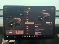 Tesla Model Y Rear-Wheel Drive - ფოტო 5