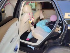 Voyah Lantu FREE 2025 318 318km RWD Navigation Edition - ფოტო 11