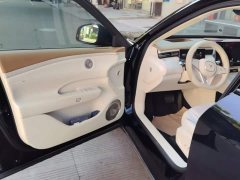 Voyah Lantu FREE 2025 318 318km RWD Navigation Edition - ფოტო 7