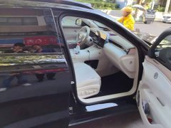Voyah Lantu FREE 2025 318 318km RWD Navigation Edition - ფოტო 8