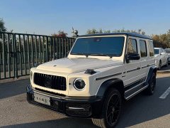 Mercedes-Benz G-Class G 500 - ფოტო 1