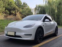 Tesla Model Y Performance All-Wheel Drive - ფოტო 1