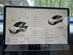 Tesla Model Y Performance All-Wheel Drive - ფოტო 13