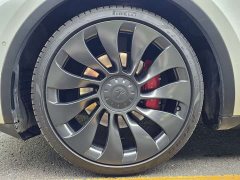 Tesla Model Y Performance All-Wheel Drive - ფოტო 15