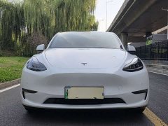 Tesla Model Y Performance All-Wheel Drive - ფოტო 2