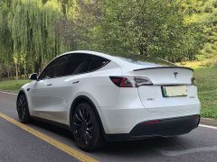 Tesla Model Y Performance All-Wheel Drive - ფოტო 5