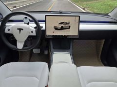 Tesla Model Y Performance All-Wheel Drive - ფოტო 8