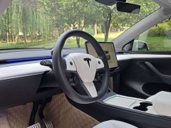 Tesla Model Y Performance All-Wheel Drive - ფოტო 9
