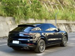 Porsche 2019 Cayenne 3.0T - ფოტო 9