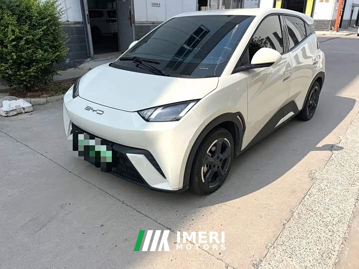 BYD Seagull Vitality Edition - ავტომობილი ჩინეთიდან