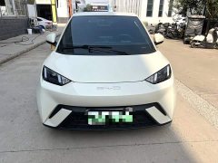 BYD Seagull Vitality Edition - ფოტო 2