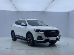 Haval H6 National Trend Edition 1.5T Automatic Urban Version - ფოტო 3