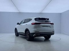 Haval H6 National Trend Edition 1.5T Automatic Urban Version - ფოტო 6
