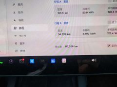 Tesla Model Y Rear-Wheel Drive - ფოტო 12