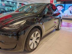 Tesla Model Y Rear-Wheel Drive - ფოტო 18