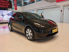 Tesla Model Y Rear-Wheel Drive - ფოტო 3