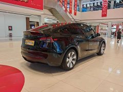 Tesla Model Y Rear-Wheel Drive - ფოტო 5