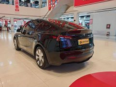 Tesla Model Y Rear-Wheel Drive - ფოტო 6